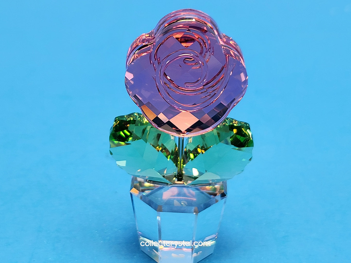 Happy Flowers Small Pink Rose In Clear Pot 855894