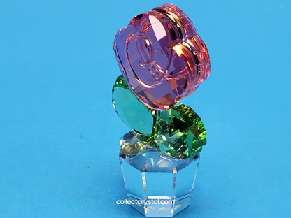 Happy Flowers Small Pink Rose In Clear Pot 855894