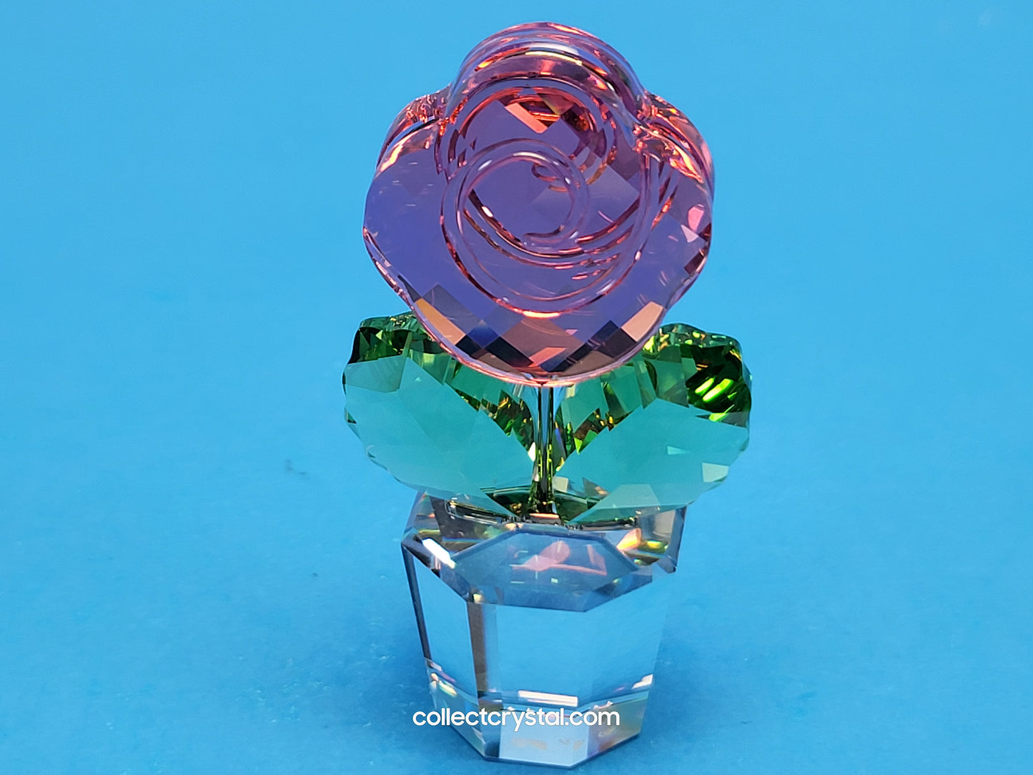 Happy Flowers Small Pink Rose In Clear Pot 855894