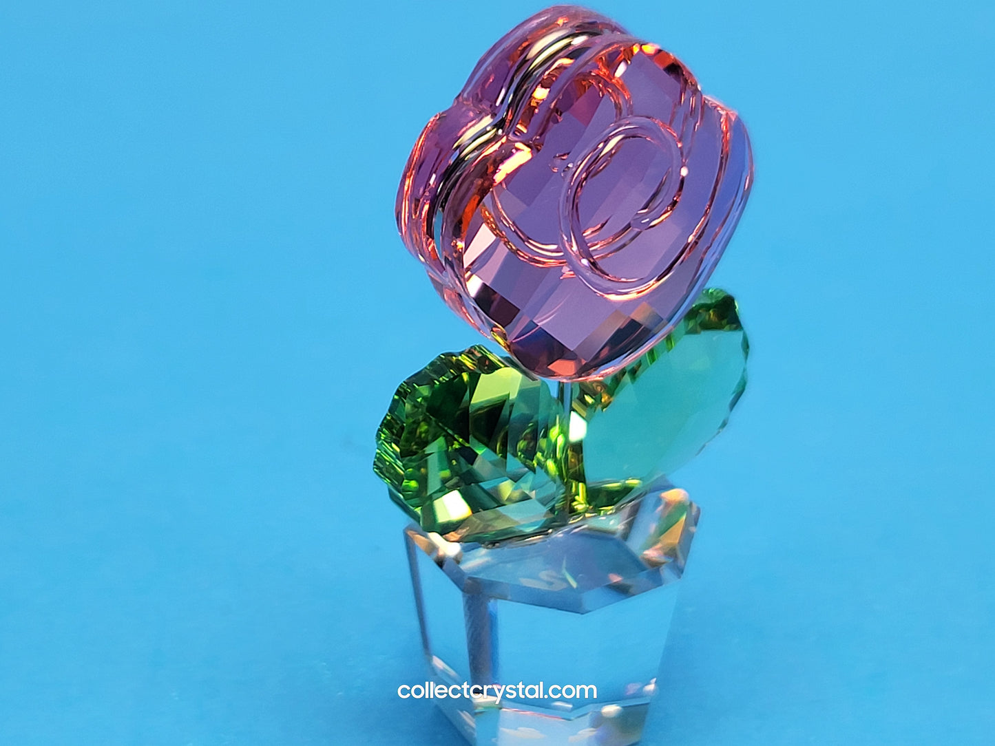 Happy Flowers Small Pink Rose In Clear Pot 855894