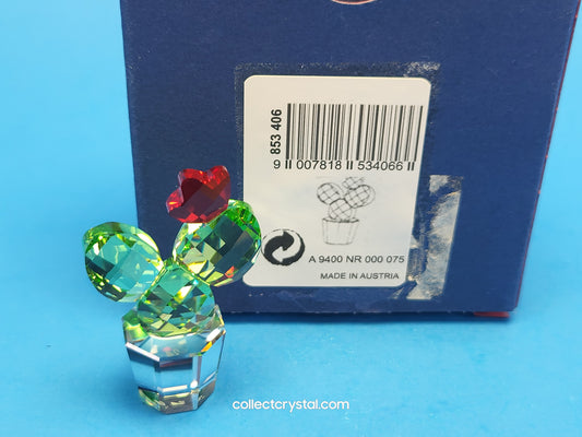 Happy Flower Cactus # 853406 Clear Pot Green Cactus w/ Red Flower