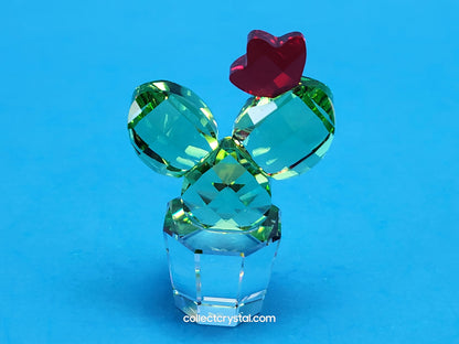Happy Flower Cactus # 853406 Clear Pot Green Cactus w/ Red Flower
