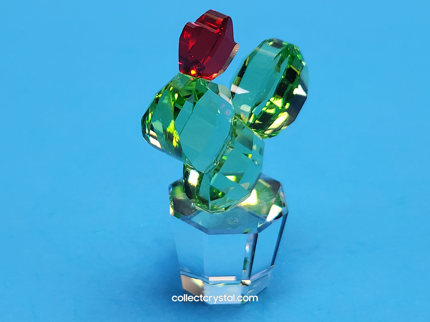 Happy Flower Cactus # 853406 Clear Pot Green Cactus w/ Red Flower