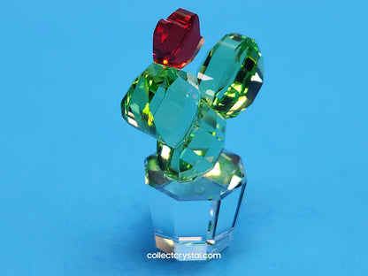 Happy Flower Cactus # 853406 Clear Pot Green Cactus w/ Red Flower