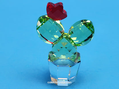Happy Flower Cactus # 853406 Clear Pot Green Cactus w/ Red Flower