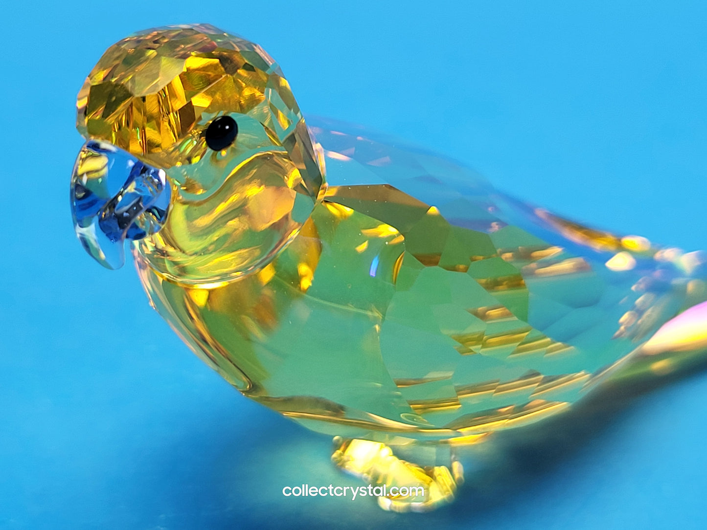 JUNGLE BEATS – YELLOW PARAKEET LECHEE 5619217