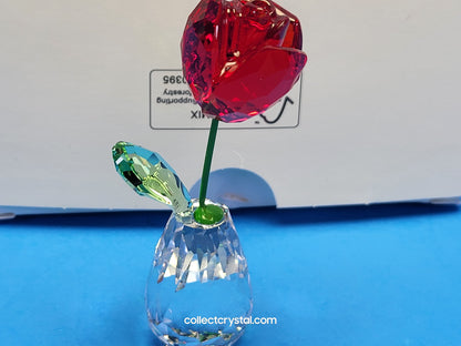 FLOWER DREAMS – RED ROSE 5254323 / 5723648