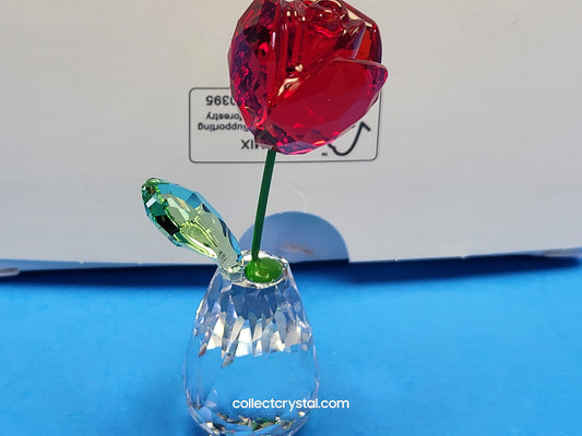 FLOWER DREAMS – RED ROSE 5254323 / 5723648