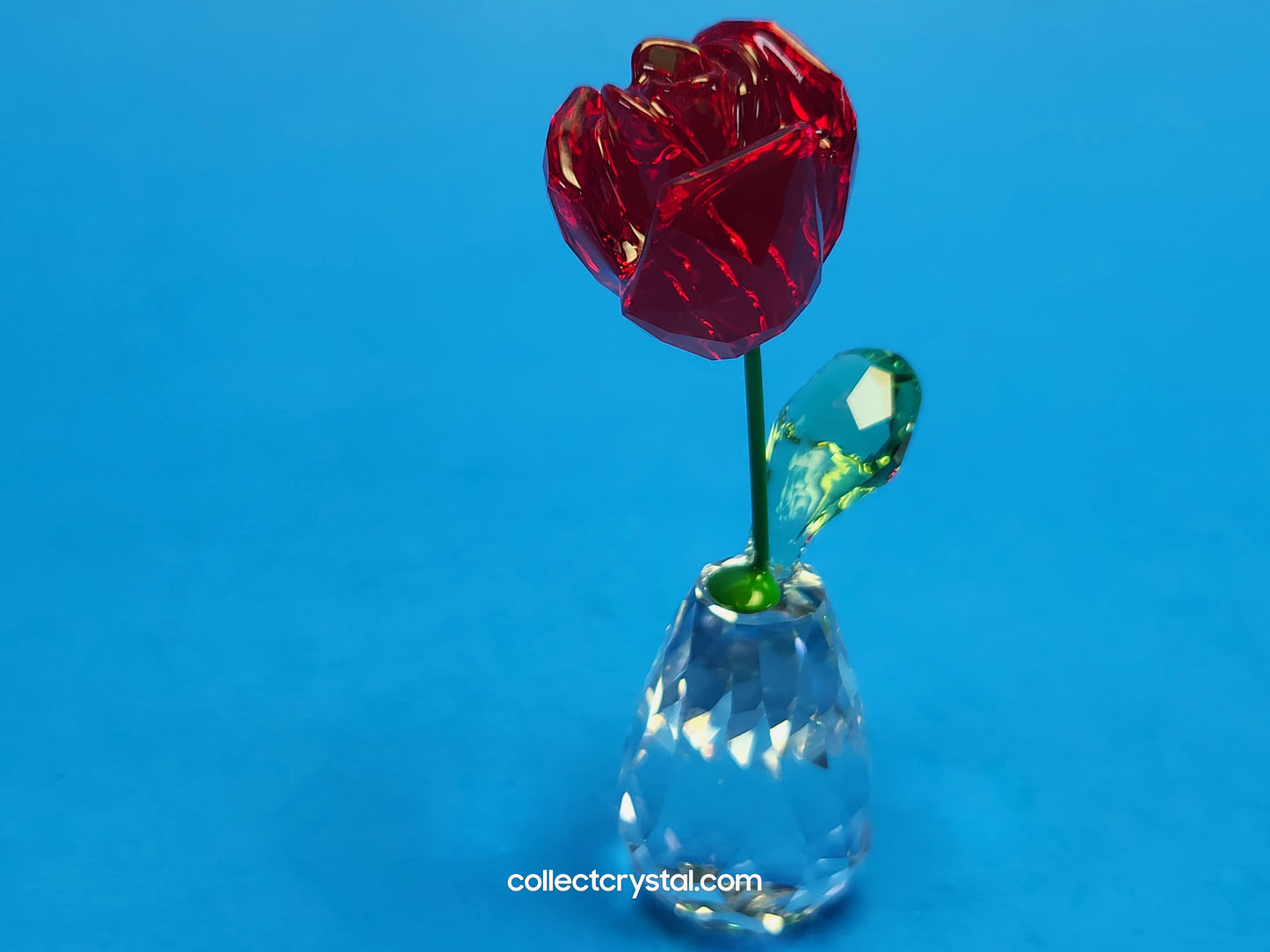 FLOWER DREAMS – RED ROSE 5254323 / 5723648