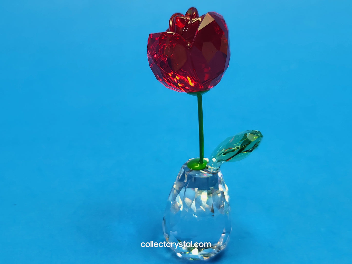FLOWER DREAMS – RED ROSE 5254323 / 5723648
