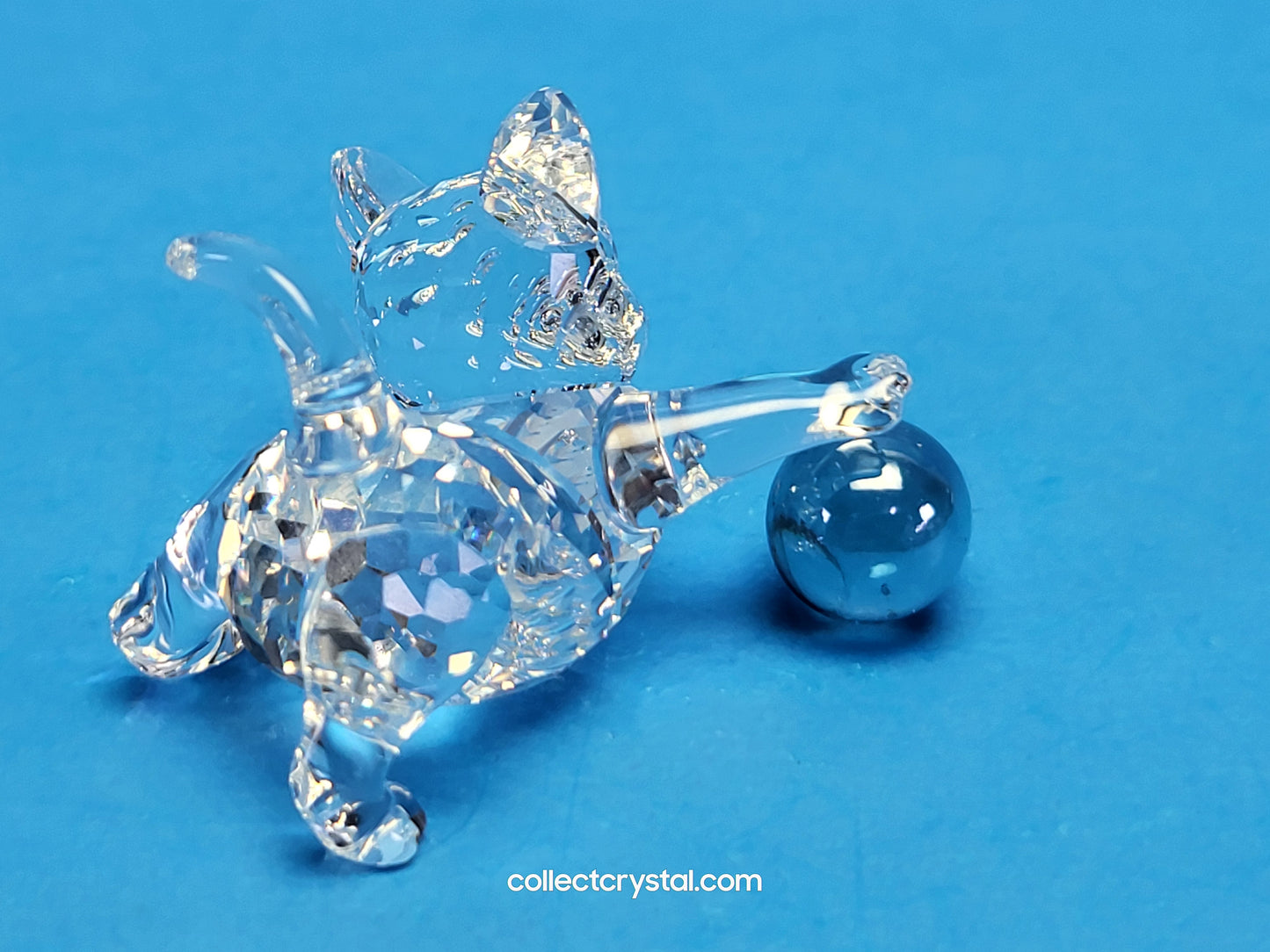 Kitten Playing with Blue Ball 631856