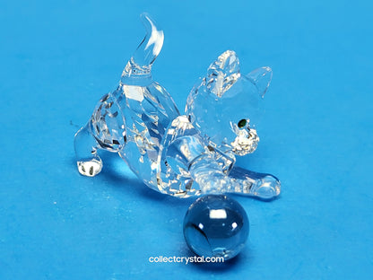 Kitten Playing with Blue Ball 631856