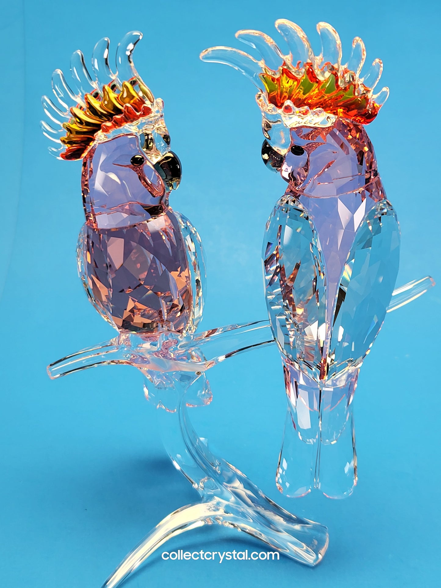 PARADISE BIRDS – COCKATOOS PINK 5244651 or 5384012 DESIGNER SIGNED