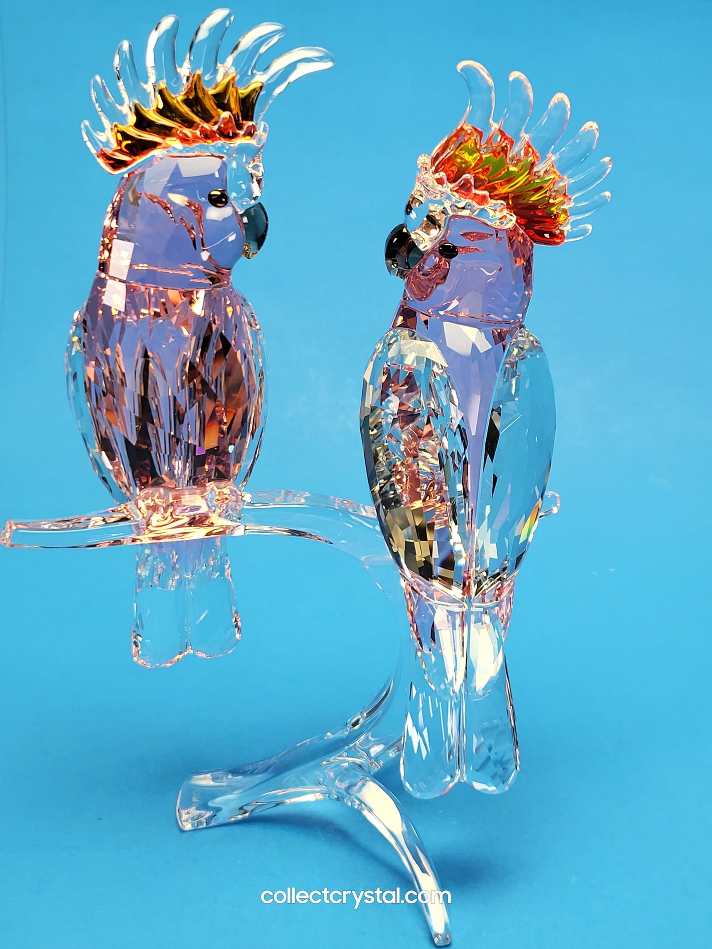 PARADISE BIRDS – COCKATOOS PINK 5244651 or 5384012 DESIGNER SIGNED