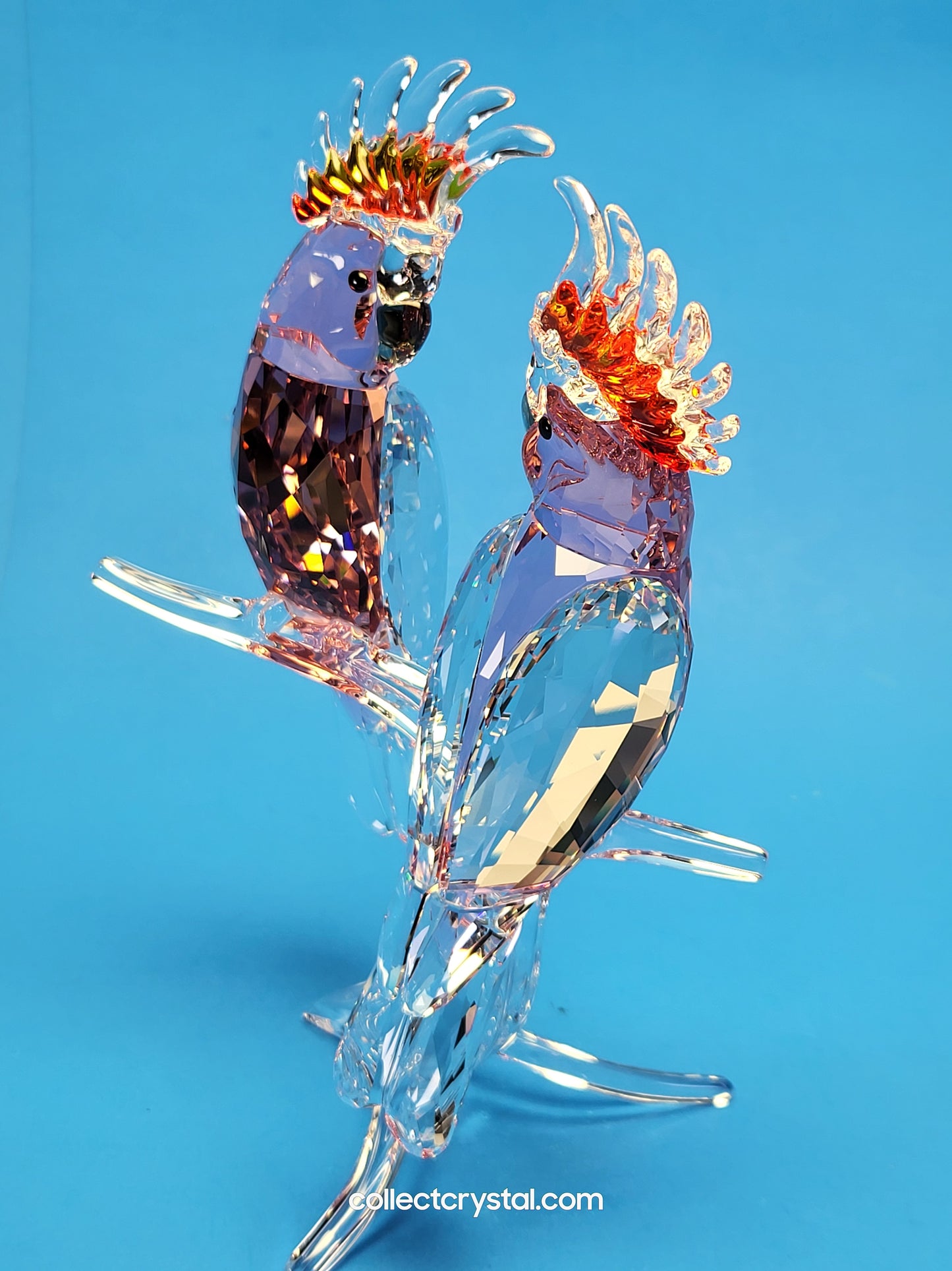 PARADISE BIRDS – COCKATOOS PINK 5244651 or 5384012 DESIGNER SIGNED