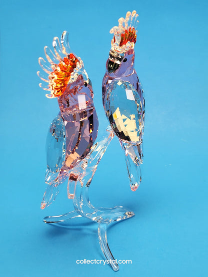 PARADISE BIRDS – COCKATOOS PINK 5244651 or 5384012 DESIGNER SIGNED