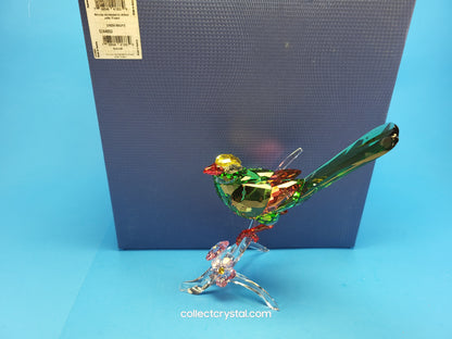 PARADISE BIRDS – GREEN MAGPIE 5244650