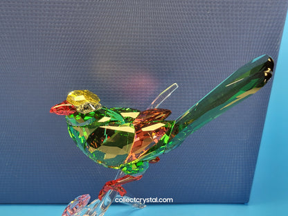 PARADISE BIRDS – GREEN MAGPIE 5244650