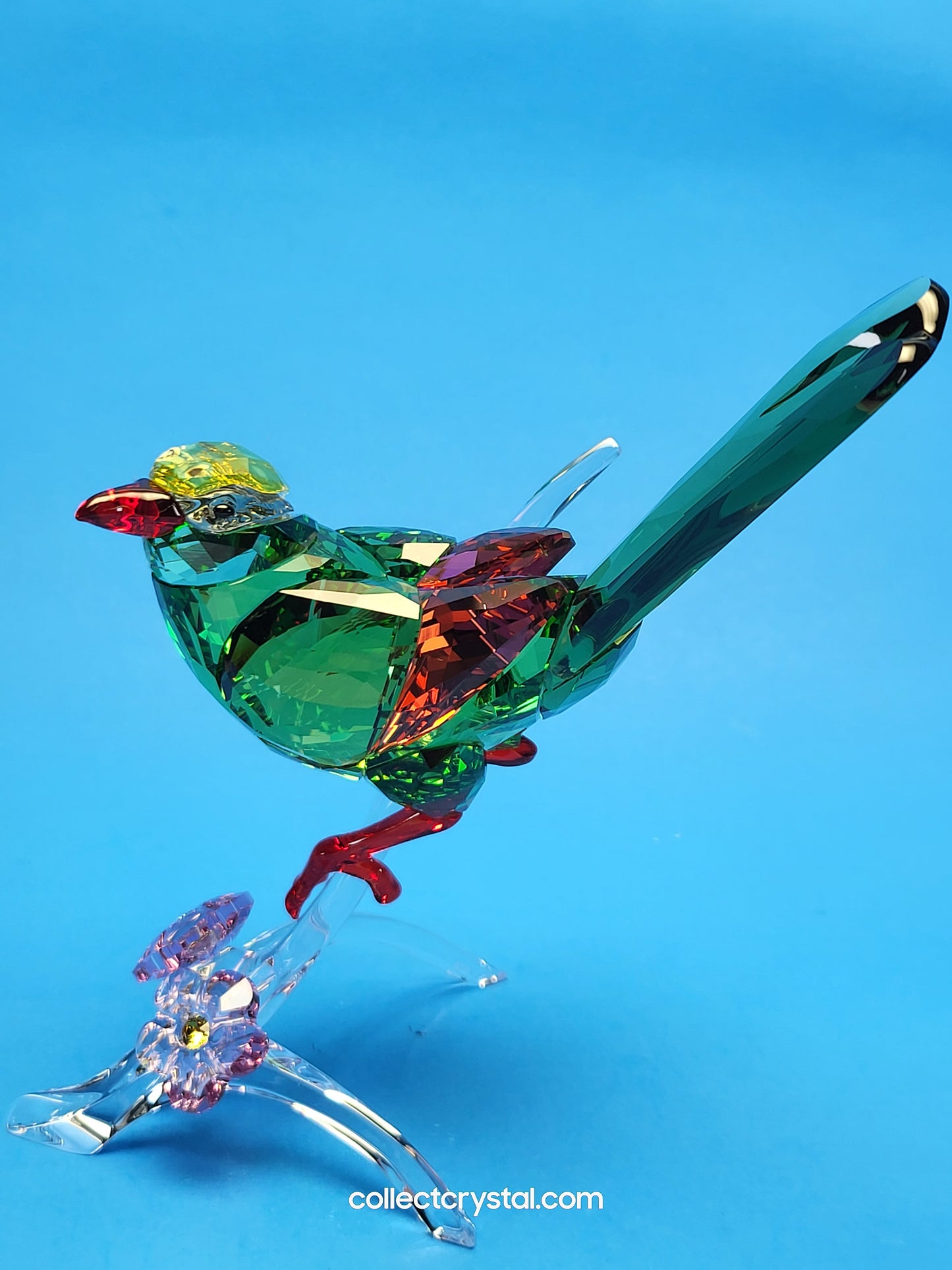 PARADISE BIRDS – GREEN MAGPIE 5244650