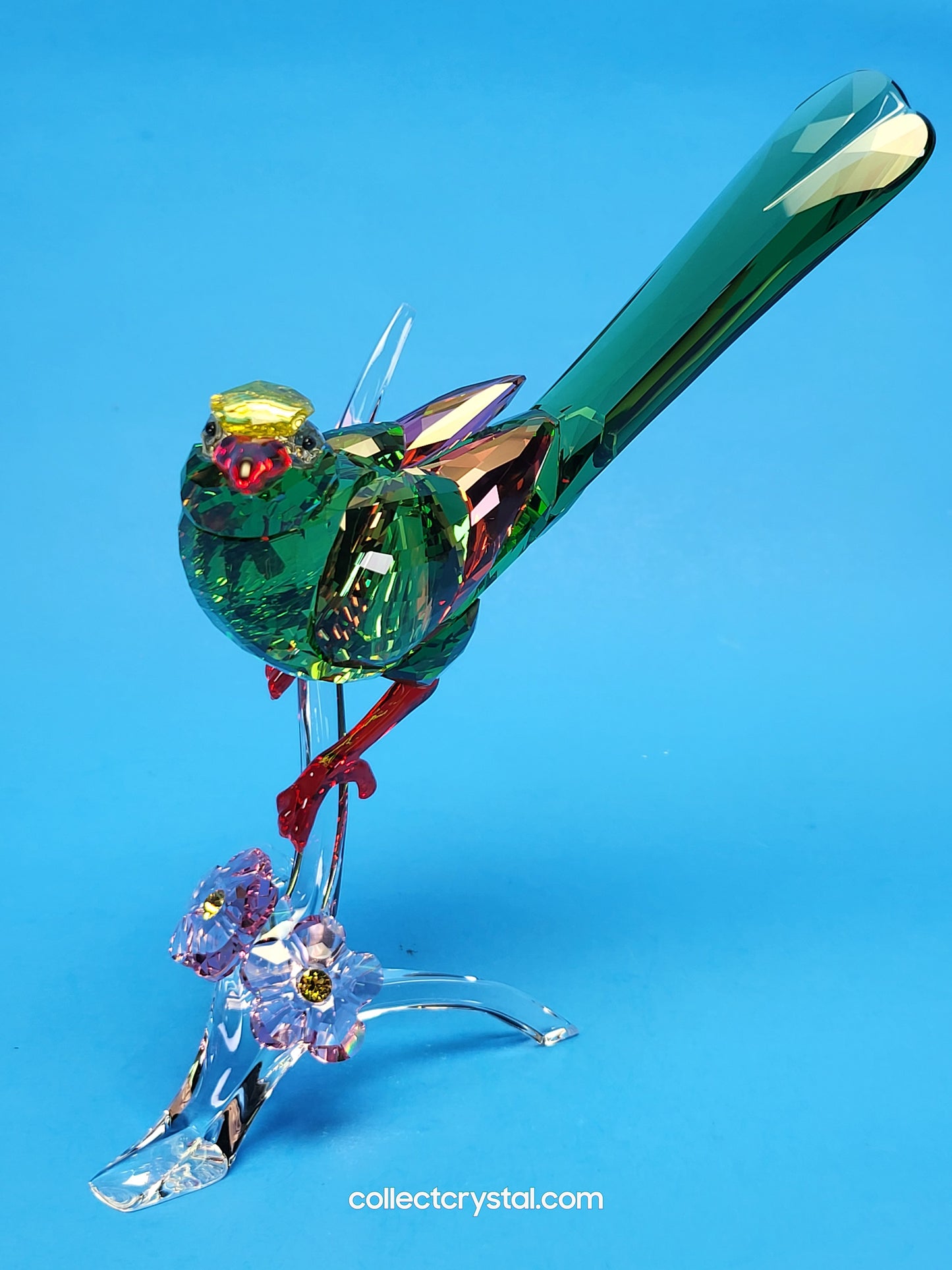 PARADISE BIRDS – GREEN MAGPIE 5244650