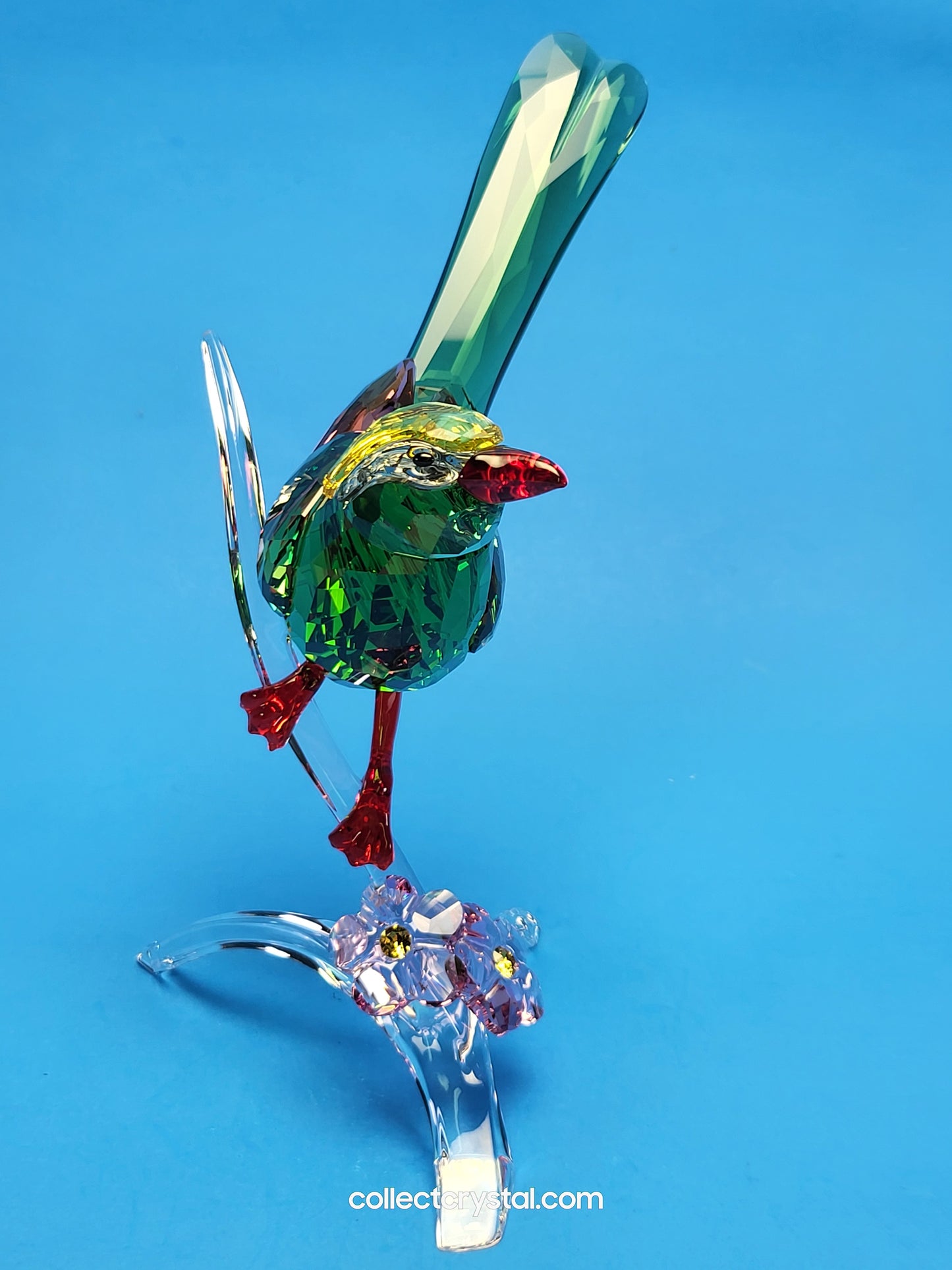 PARADISE BIRDS – GREEN MAGPIE 5244650