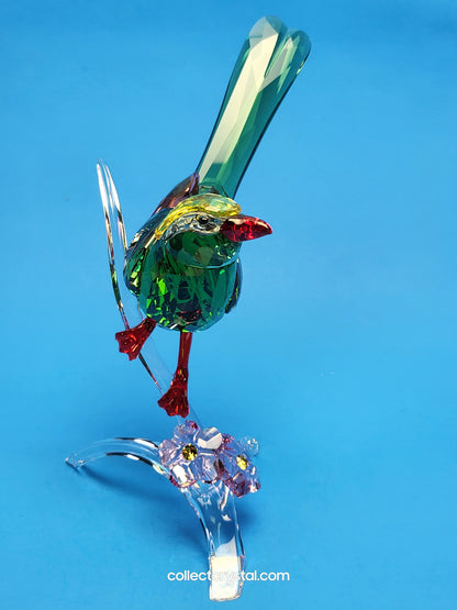 PARADISE BIRDS – GREEN MAGPIE 5244650