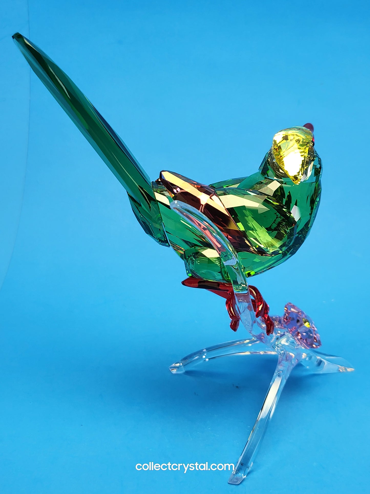 PARADISE BIRDS – GREEN MAGPIE 5244650