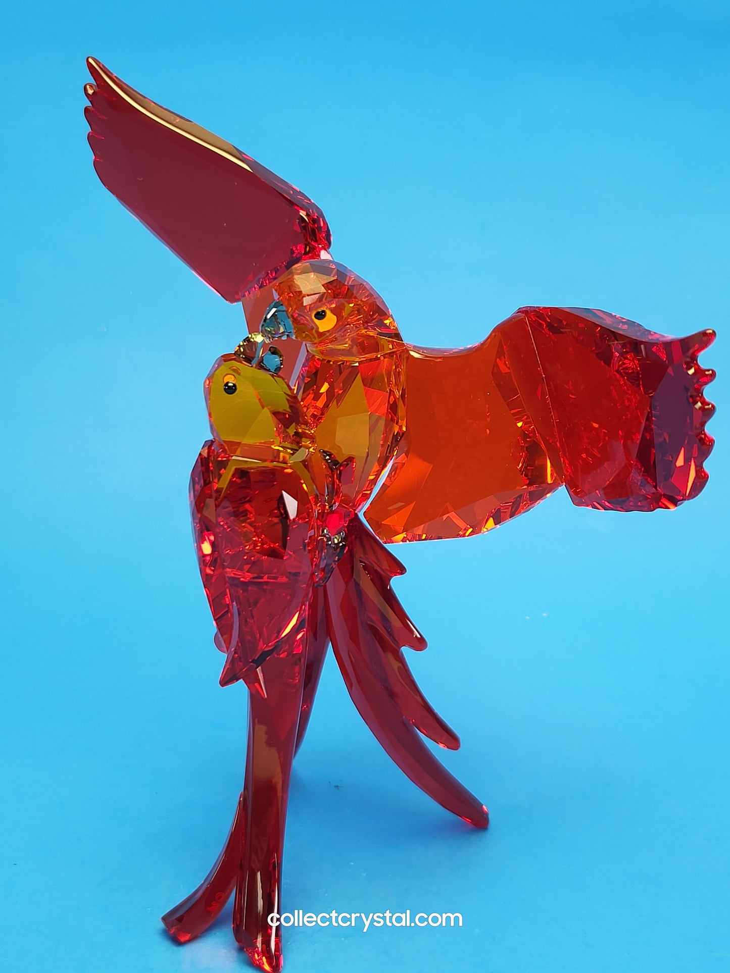 PARADISE BIRDS – PARROTS RED 5136809