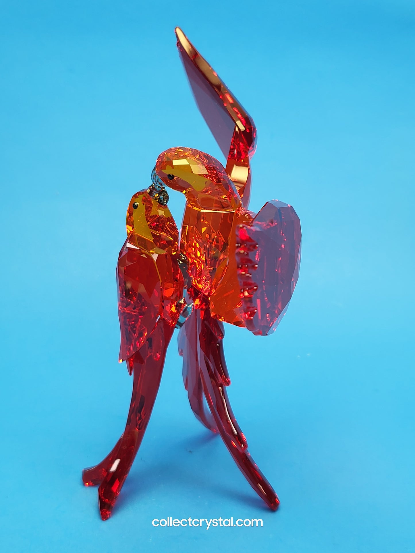 PARADISE BIRDS – PARROTS RED 5136809