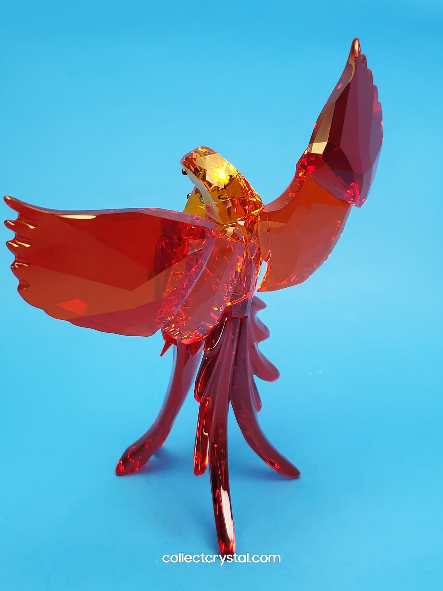 PARADISE BIRDS – PARROTS RED 5136809