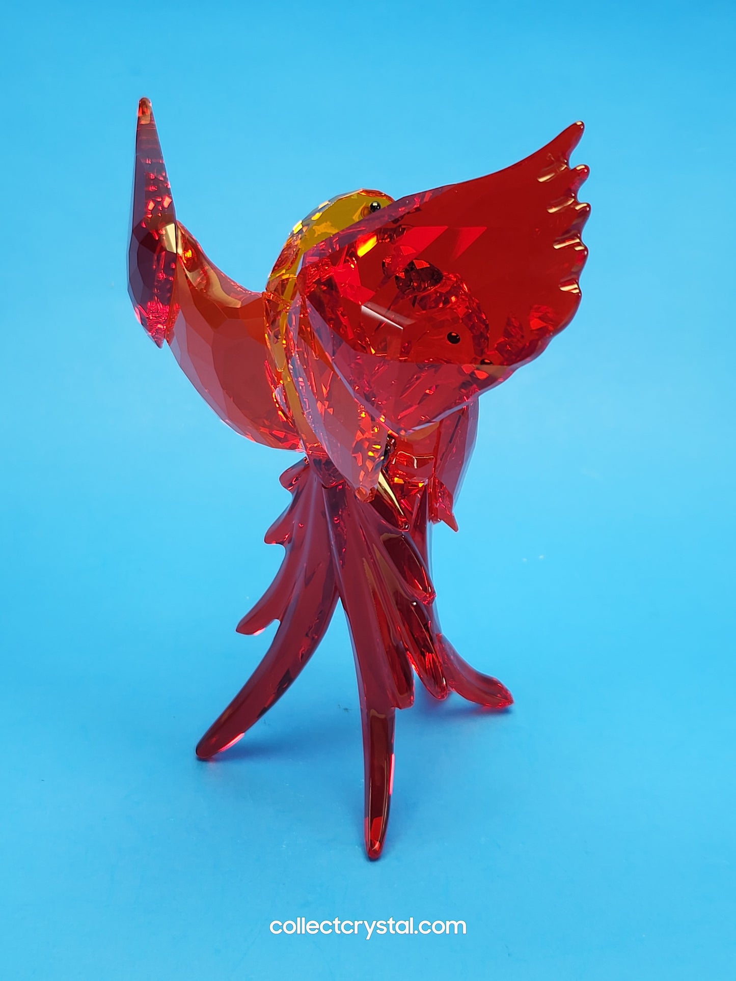 PARADISE BIRDS – PARROTS RED 5136809