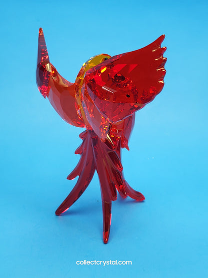 PARADISE BIRDS – PARROTS RED 5136809