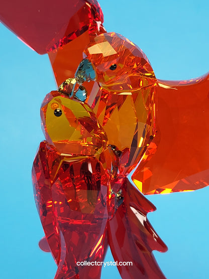 PARADISE BIRDS – PARROTS RED 5136809