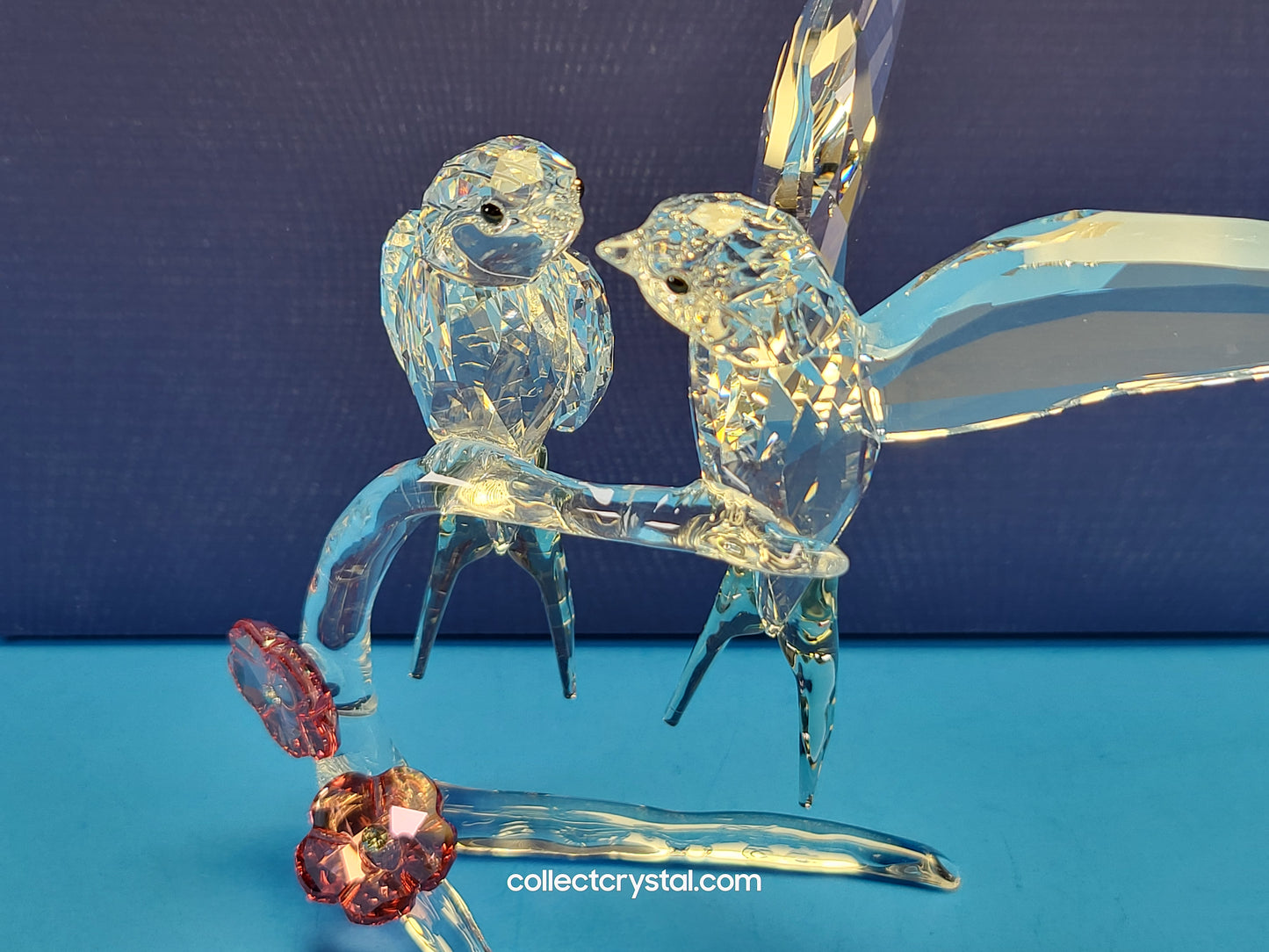 Swallows Birds Couple on Branch MIB # 5475566