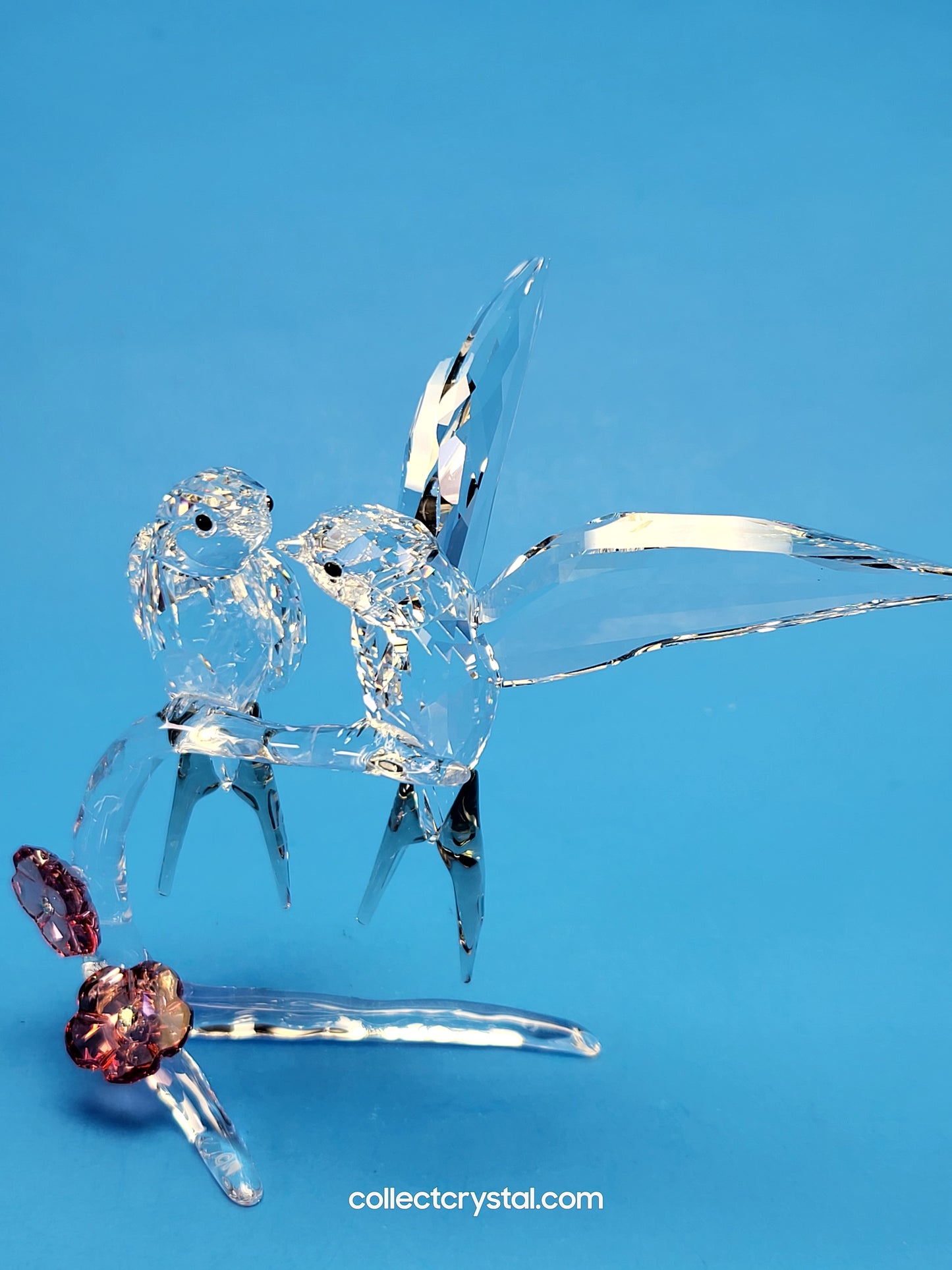 Swallows Birds Couple on Branch MIB # 5475566