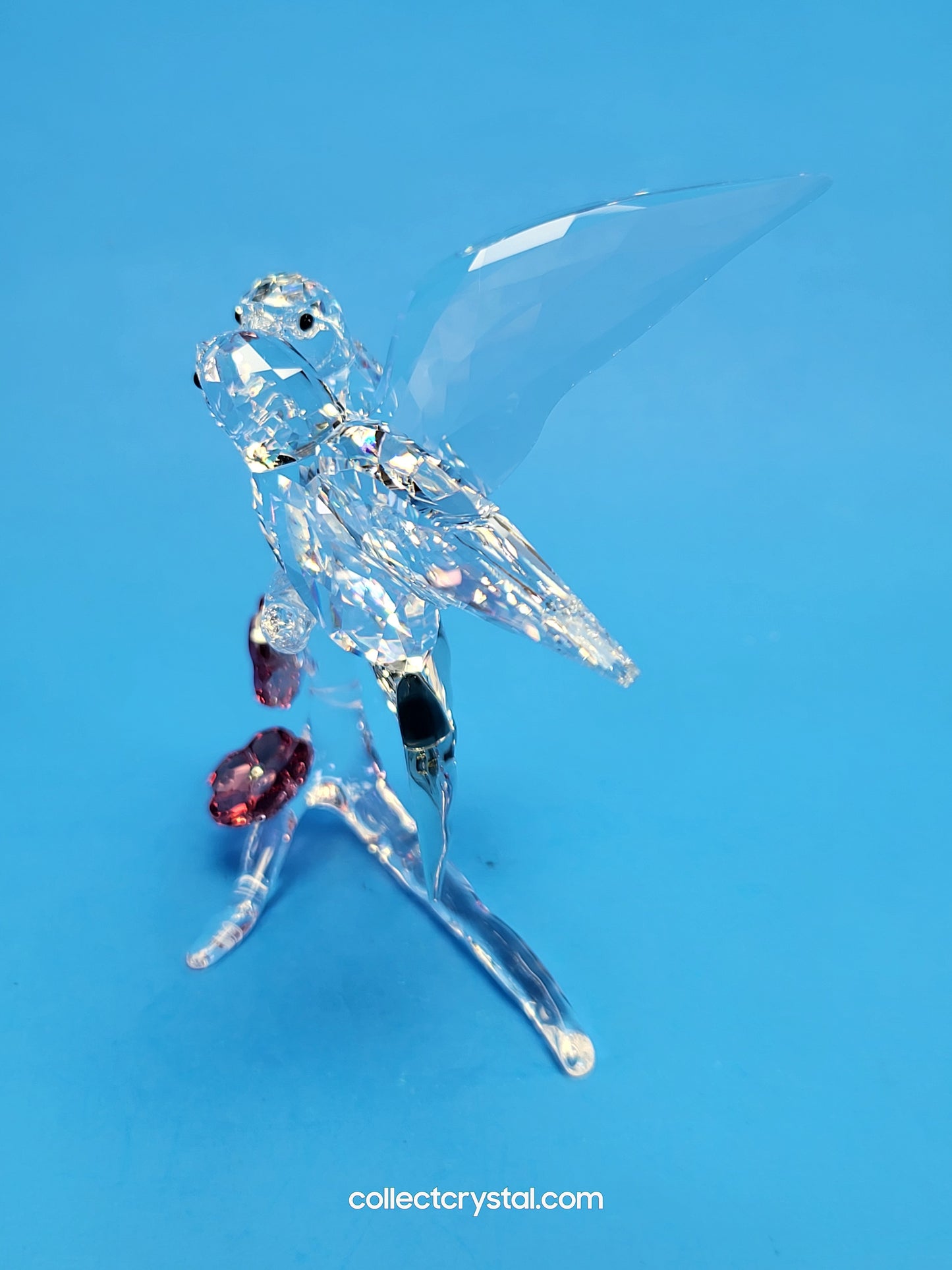 Swallows Birds Couple on Branch MIB # 5475566