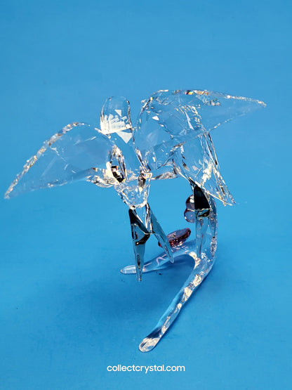 Swallows Birds Couple on Branch MIB # 5475566