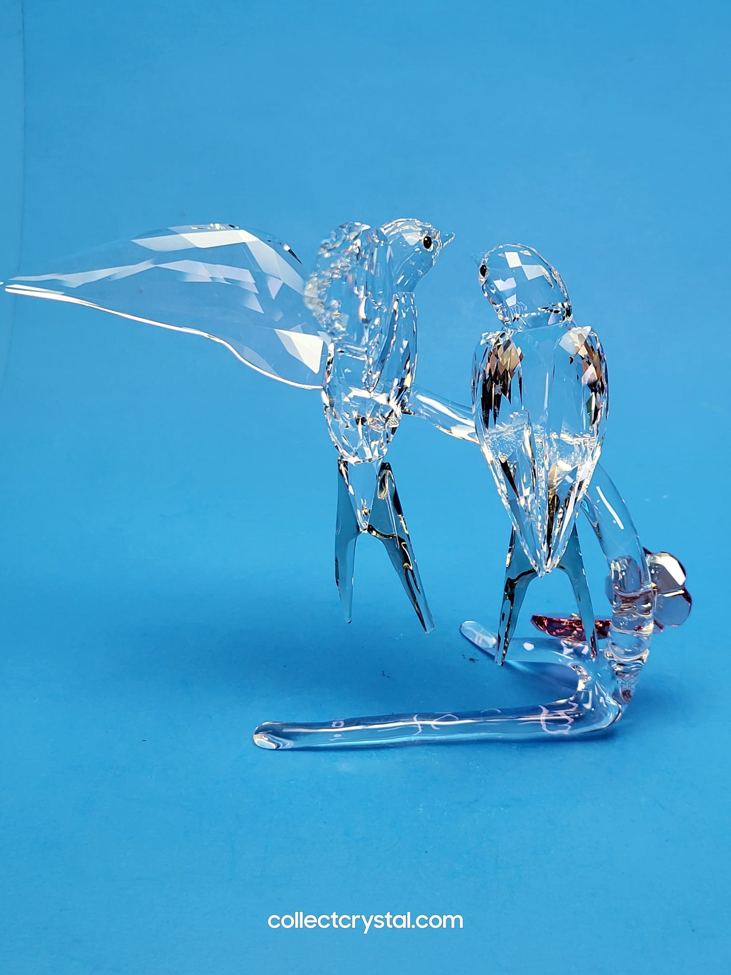 Swallows Birds Couple on Branch MIB # 5475566