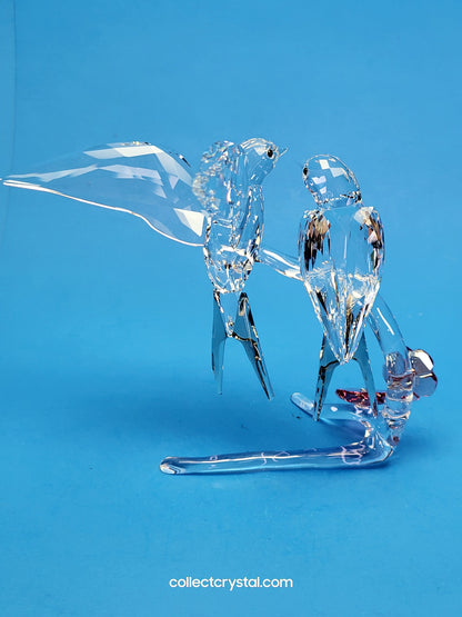 Swallows Birds Couple on Branch MIB # 5475566