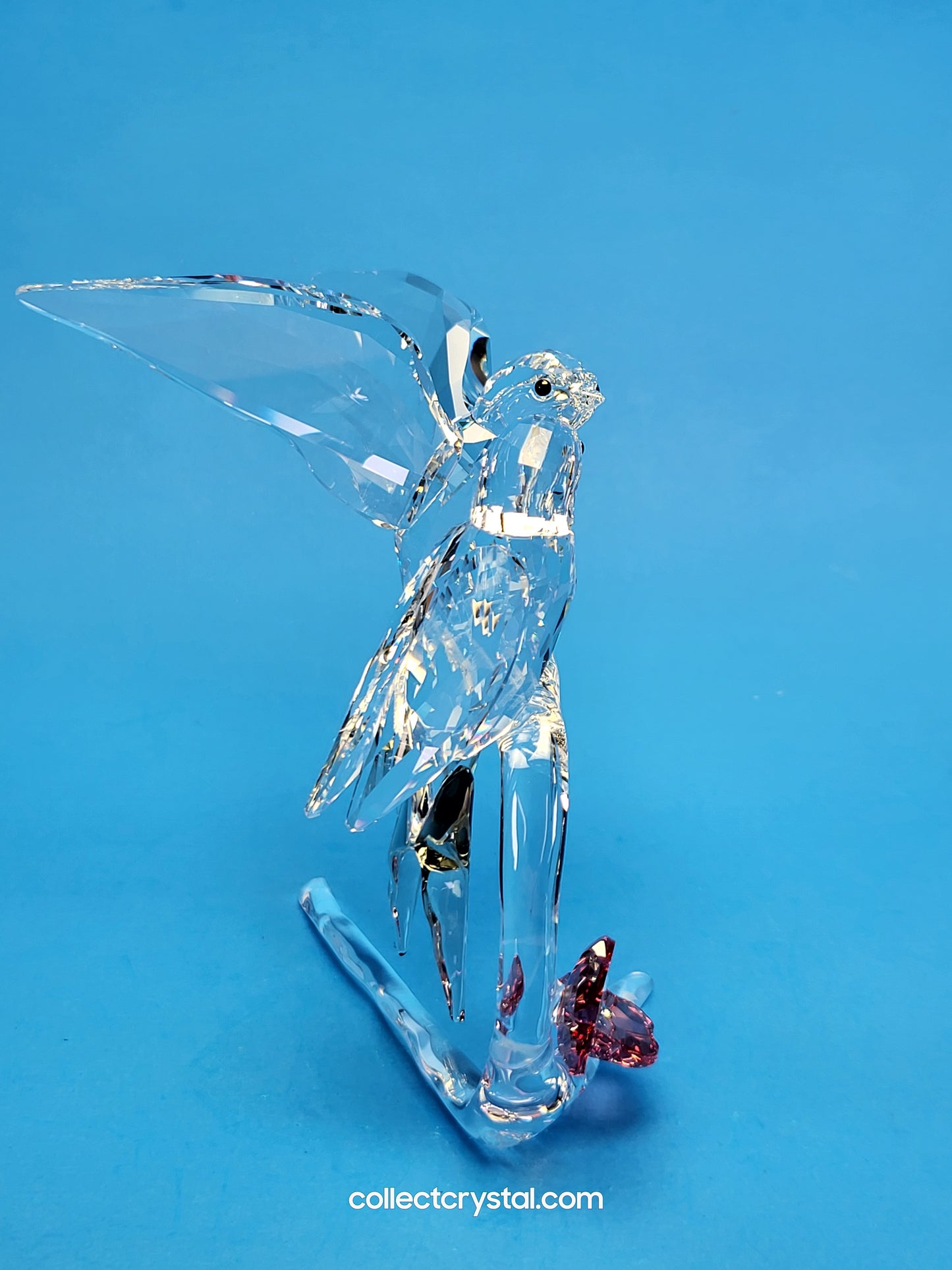 Swallows Birds Couple on Branch MIB # 5475566