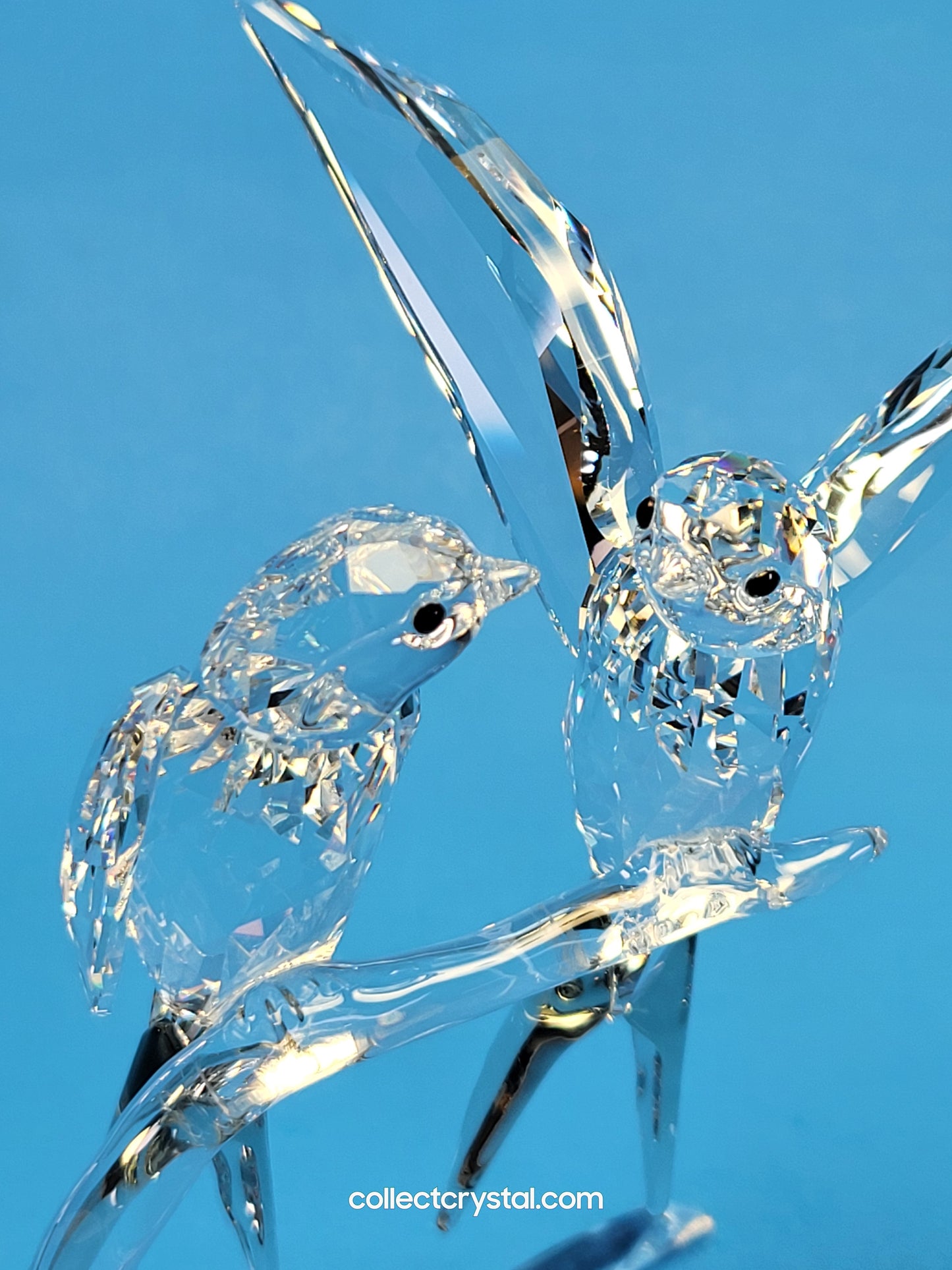 Swallows Birds Couple on Branch MIB # 5475566