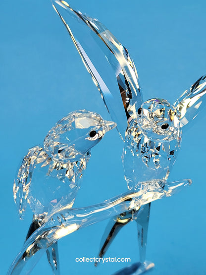 Swallows Birds Couple on Branch MIB # 5475566