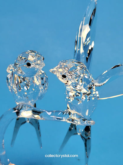 Swallows Birds Couple on Branch MIB # 5475566