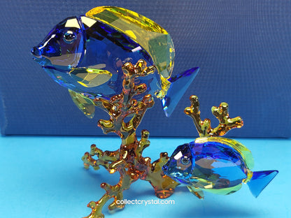 PARADISE FISH – DOCTORFISH COUPLE 5223194