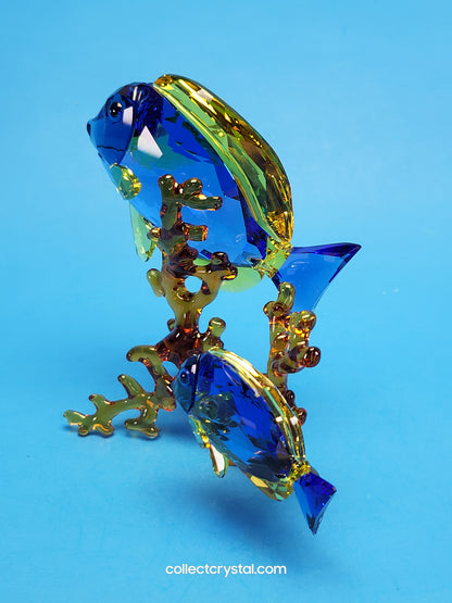 PARADISE FISH – DOCTORFISH COUPLE 5223194