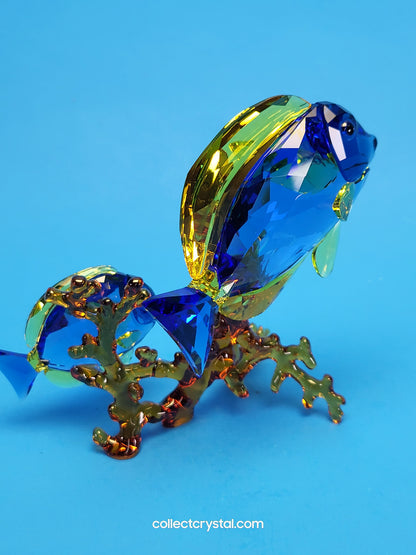 PARADISE FISH – DOCTORFISH COUPLE 5223194