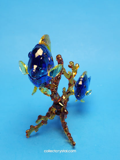 PARADISE FISH – DOCTORFISH COUPLE 5223194