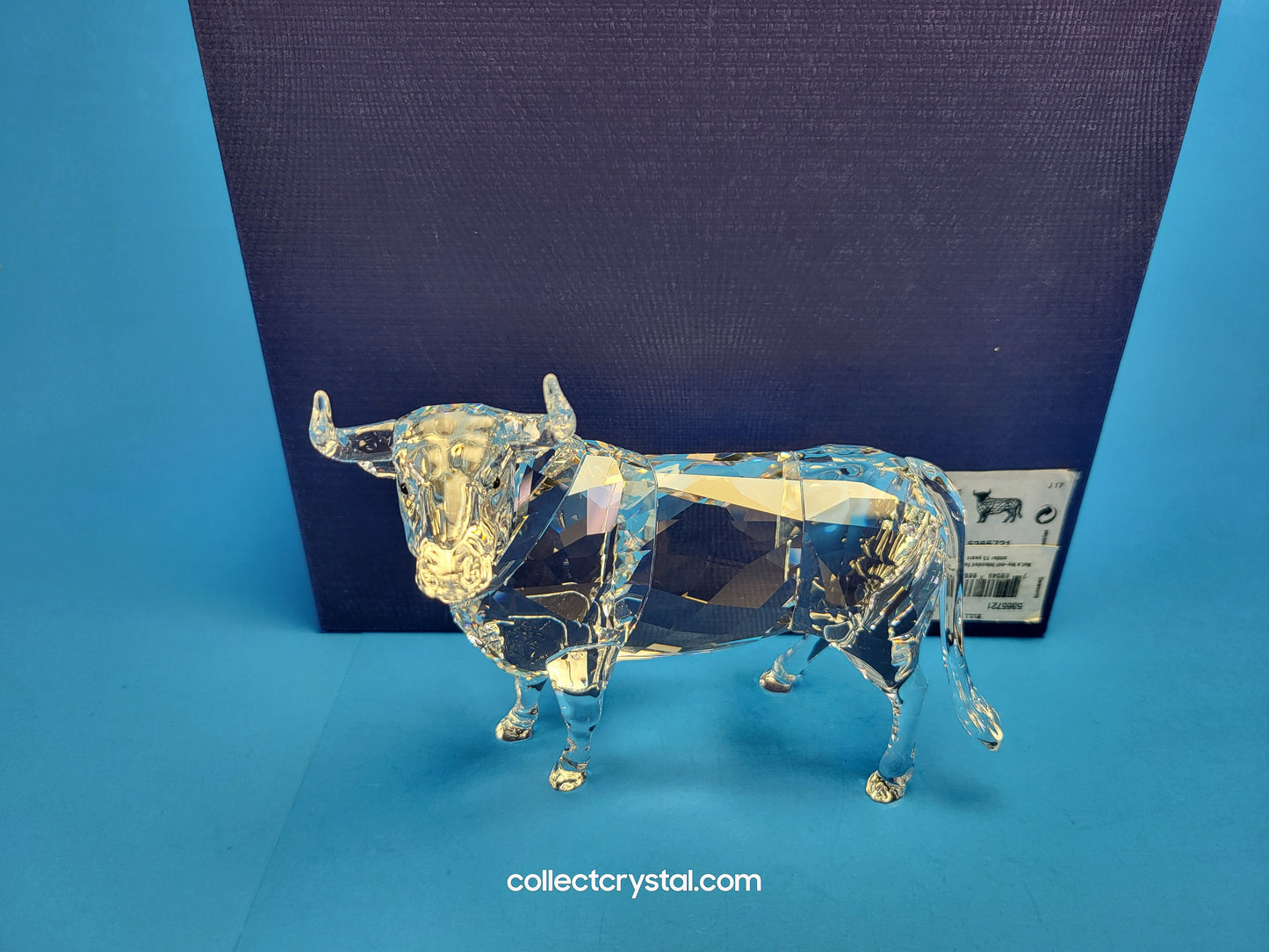 BULL (2018) 5365721 Male Cattle Cow