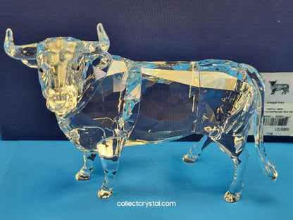 BULL (2018) 5365721 Male Cattle Cow