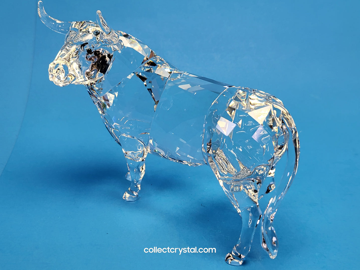 BULL (2018) 5365721 Male Cattle Cow
